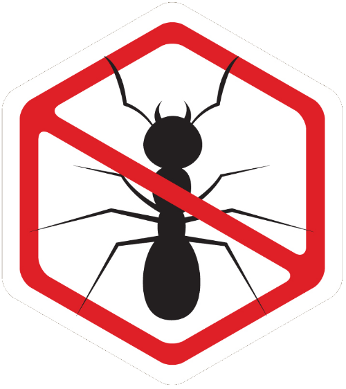 ants