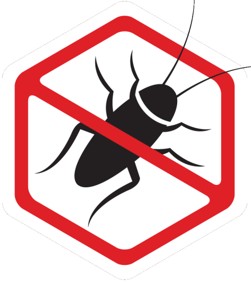 cockroach