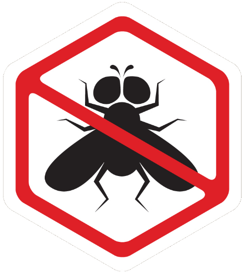 flies
