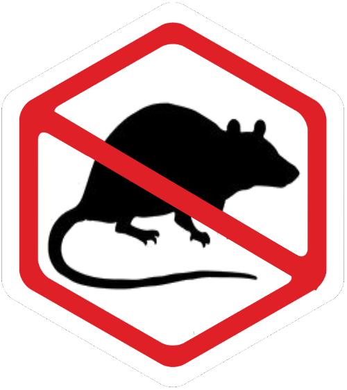rats