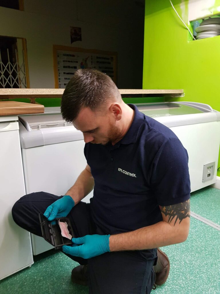 rodent proofing