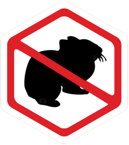 rodents