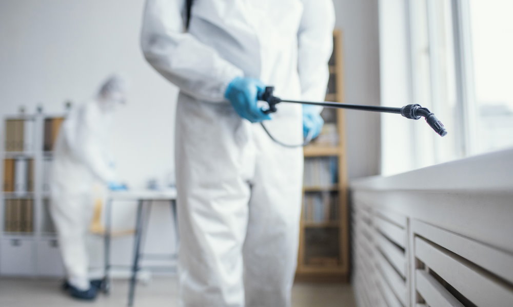How Do You Choose A Reliable Pest Control Company