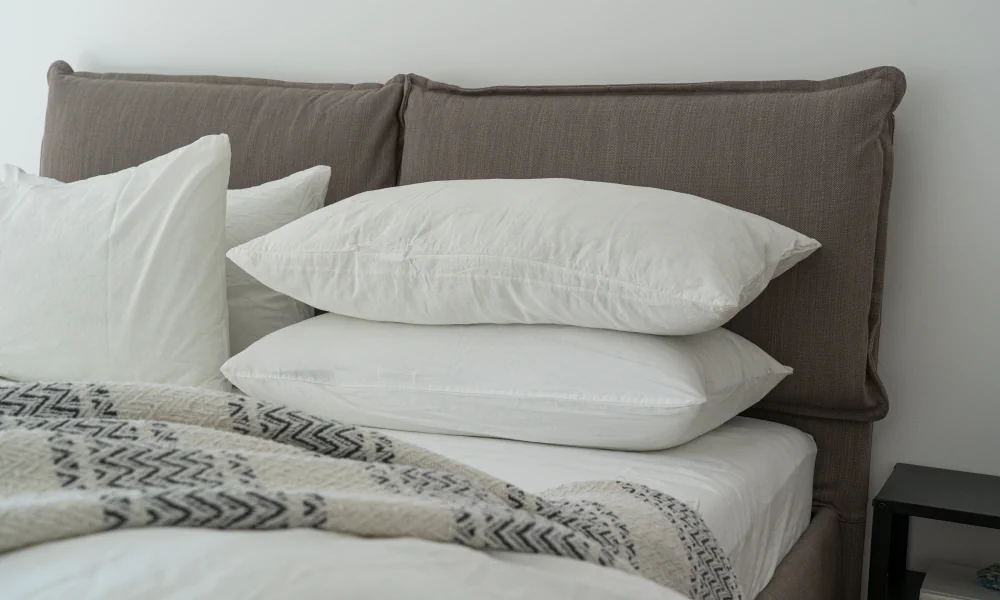 Bedbugs on Mattress - What To Do