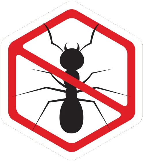 ants control