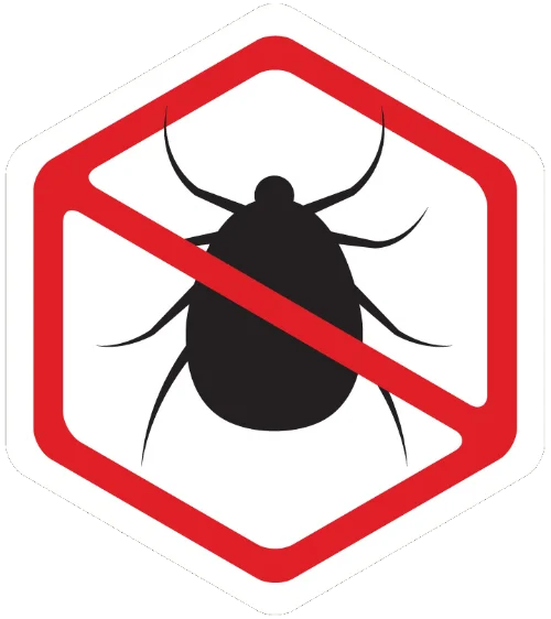 bed bugs control