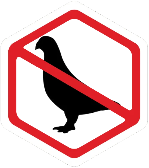 pigeon control