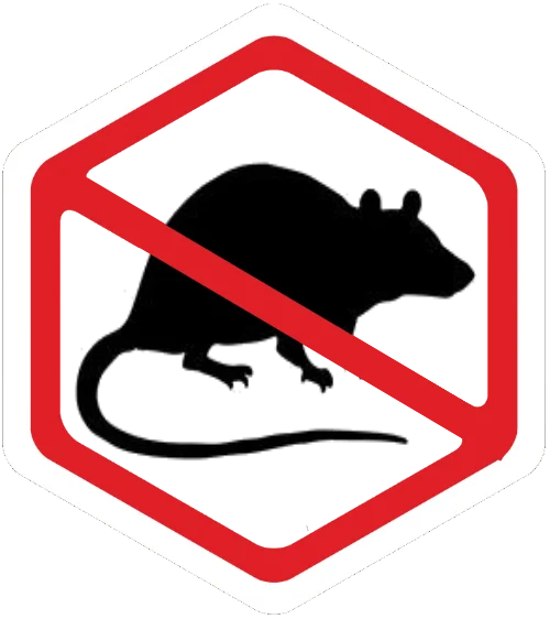 rats control