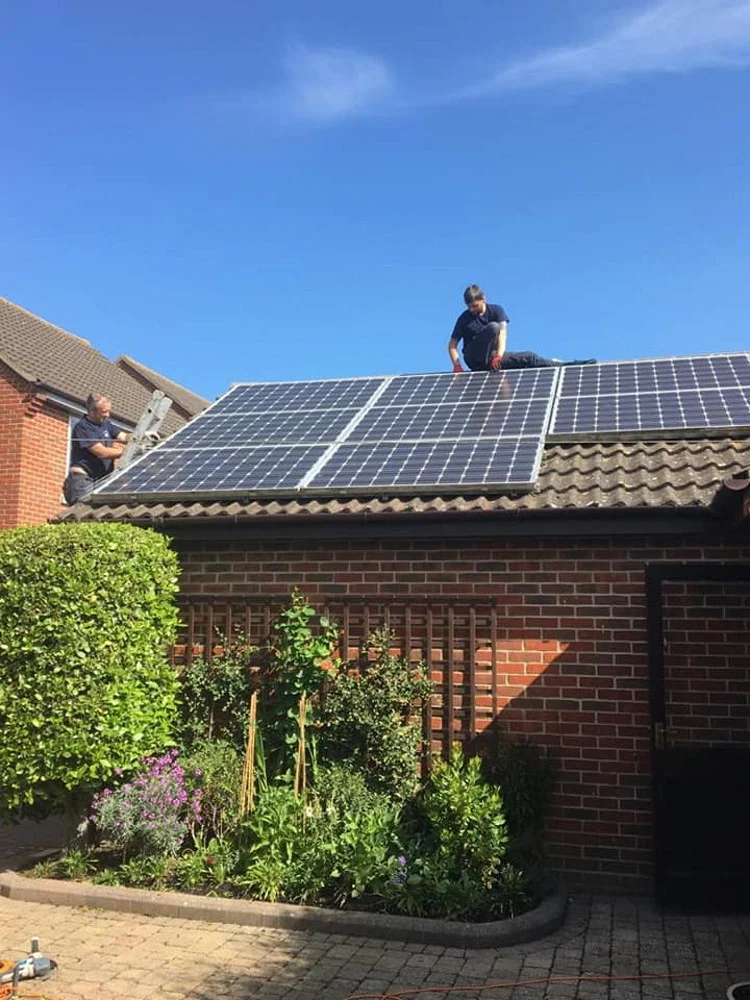 Pigeon Solar Panel Proofing Chelmsford