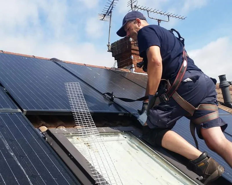 Professional Pigeon Solar Panel Proofing in Chelmsford