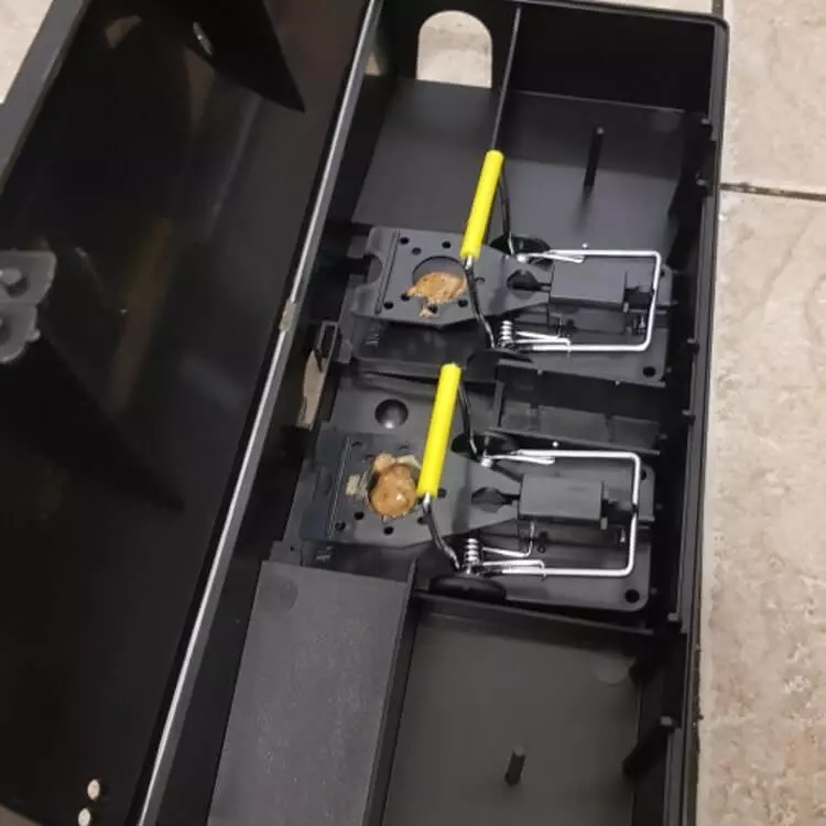 mouse proofing