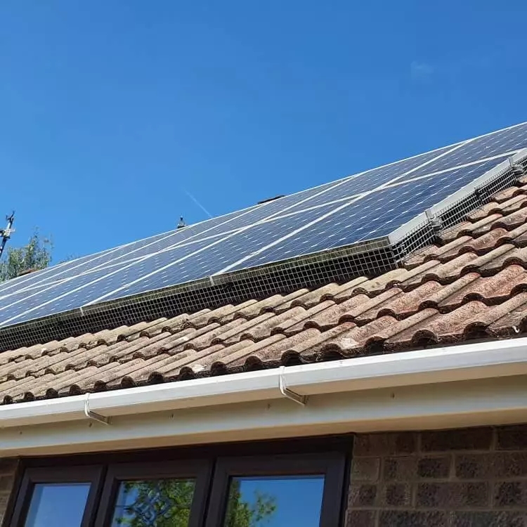 pigeon solar panel proofing