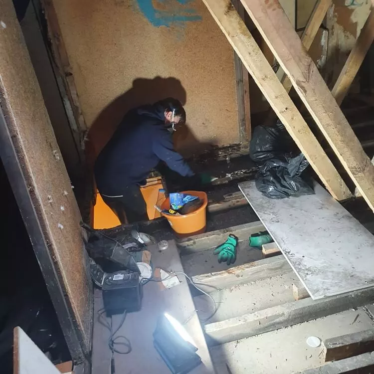 rodent proofing
